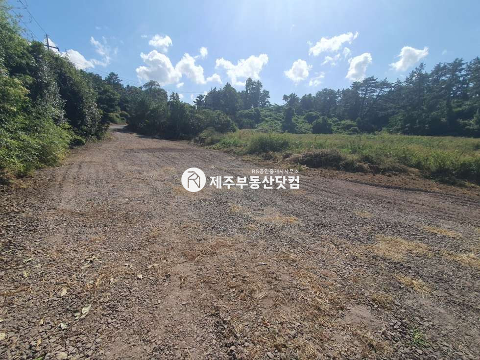 제주 제주시 애월읍 납읍리 애월읍/ 납읍리 /넓은대지/ 돌창고/ 1층상가 연세 매물번호 11945 사진 3