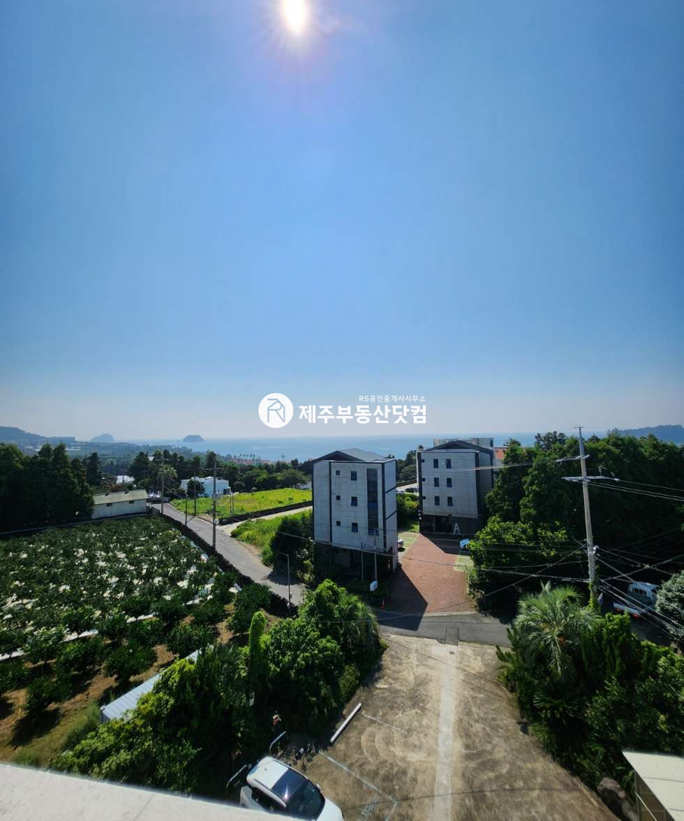 제주 서귀포시 법환동 서귀포시 법환동/오션뷰/휴양펜션업/펜션 임/무권리 월세 매물번호 12544 사진 8