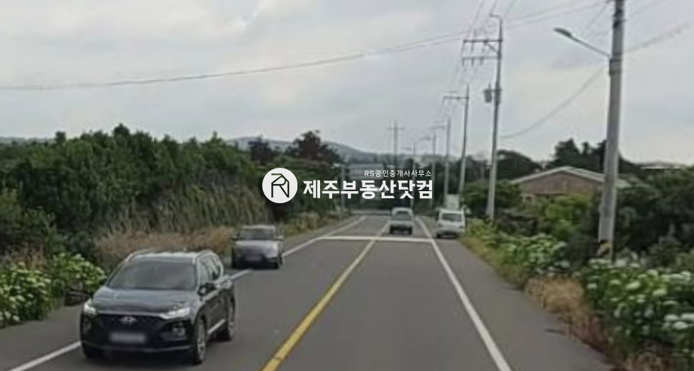 제주 서귀포시 남원읍 신례리 [남원읍 신례리] 위미입구 부근 #급매 #2차선 도로 접 과수원 #분할가능 매매 매물번호 13100 사진 1