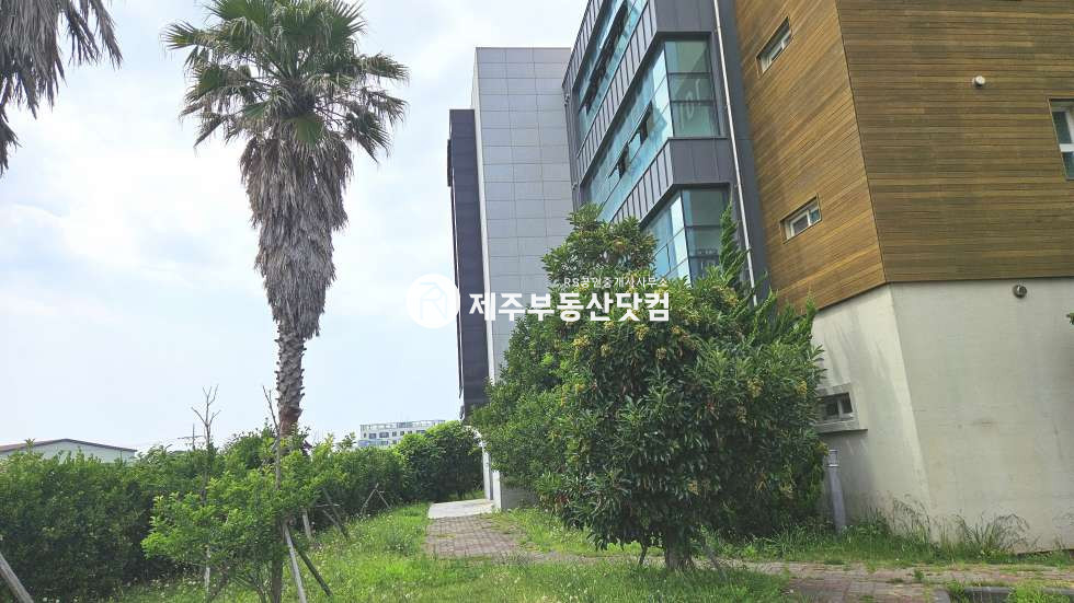 제주 제주시 조천읍 신촌리 658 (신촌에덴빌리지) 101동 [조천읍 신촌리] 에덴빌리지 #탑층 넓은거실+주방 #분리형 원룸 #급매 매매 매물번호 13038 사진 9