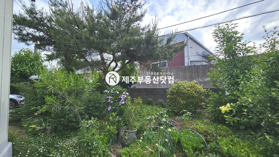 제주 제주시 아라일동 [아라일동] 연북로 인접 #급매 #넓은 부지의 단독주택 #방4화1 매매 매물번호 13563 사진 11