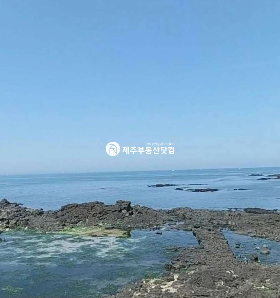 제주 제주시 구좌읍 평대리 [구좌읍/평대리] 해맞이해안로 해안도로 /오션뷰/1층상가/무권리 연세 매물번호 12697 사진 2