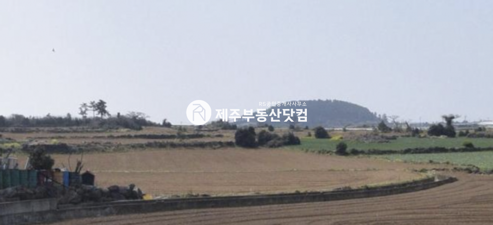 제주 서귀포시 대정읍 신도리 [대정읍 신도리] #7M 도로 접 #창고, 전, 임야 #급매 매매 매물번호 13139 사진 1