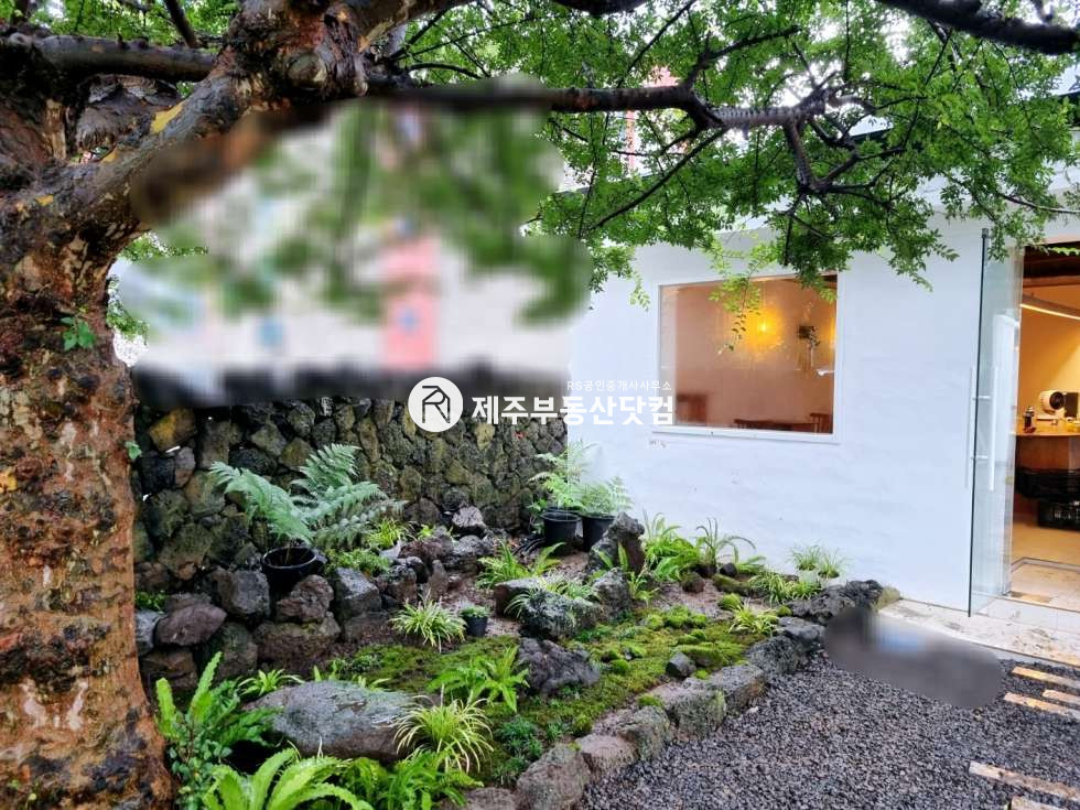 제주 제주시 조천읍 신촌리 [조천읍/신촌리] 구옥상가/리모델링/현재 임차인 운영중/상가매매 매매 매물번호 12774 사진 2
