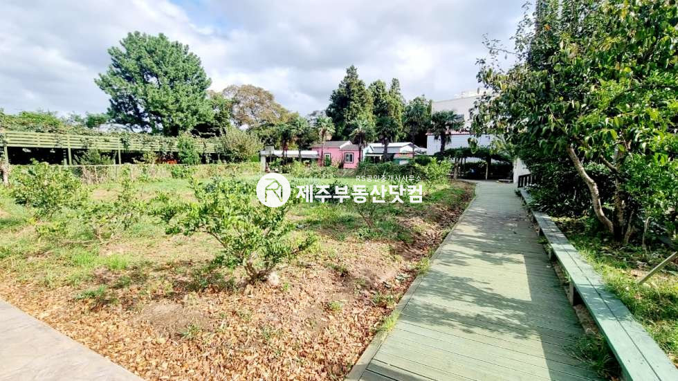 제주 제주시 월평동 월평동/애조로 접근성좋음/3층건물 통임대(모든업종가능) 연세 매물번호 11124 사진 3